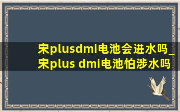 宋plusdmi电池会进水吗_宋plus dmi电池怕涉水吗